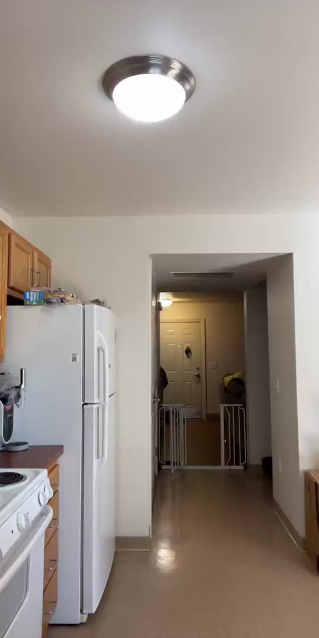 @freakklovee TikTok live recording