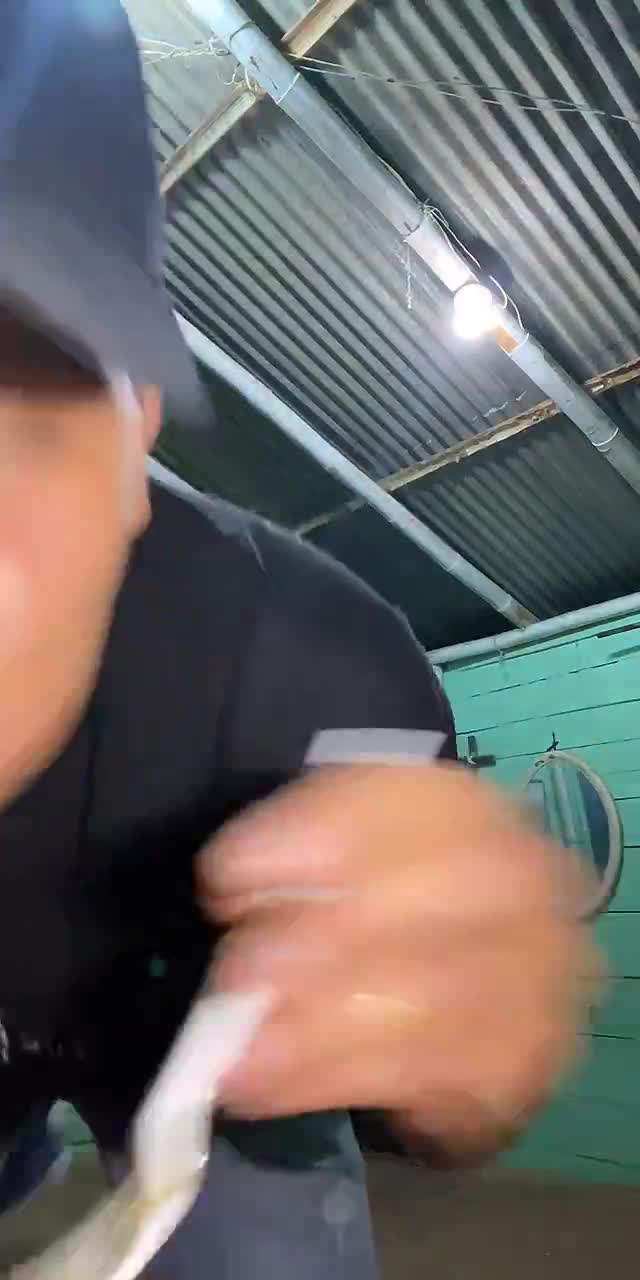 @medinagini0 TikTok live recording