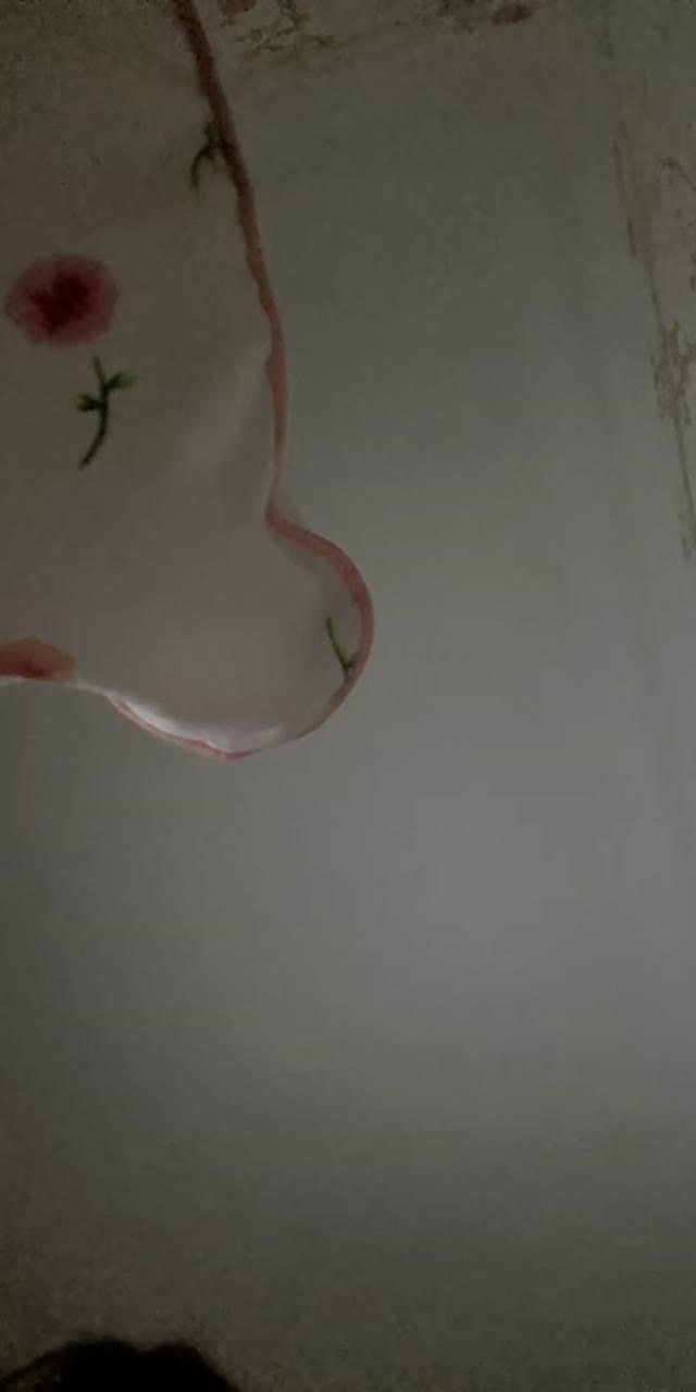 @lopilelee TikTok live recording