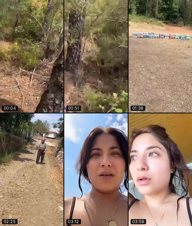 @alyena080 TikTok live recording