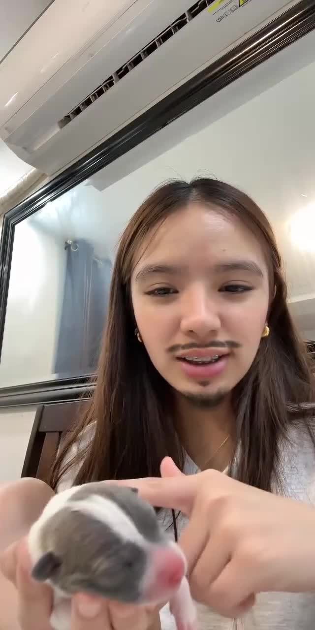 @jhewelryhershey_ TikTok live recording