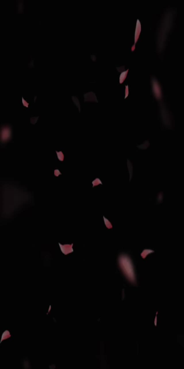 @qamar_dalo3a TikTok live recording