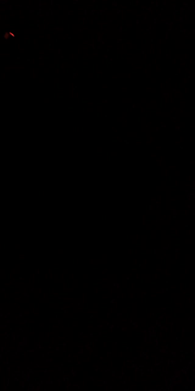 @lopilelee TikTok live recording