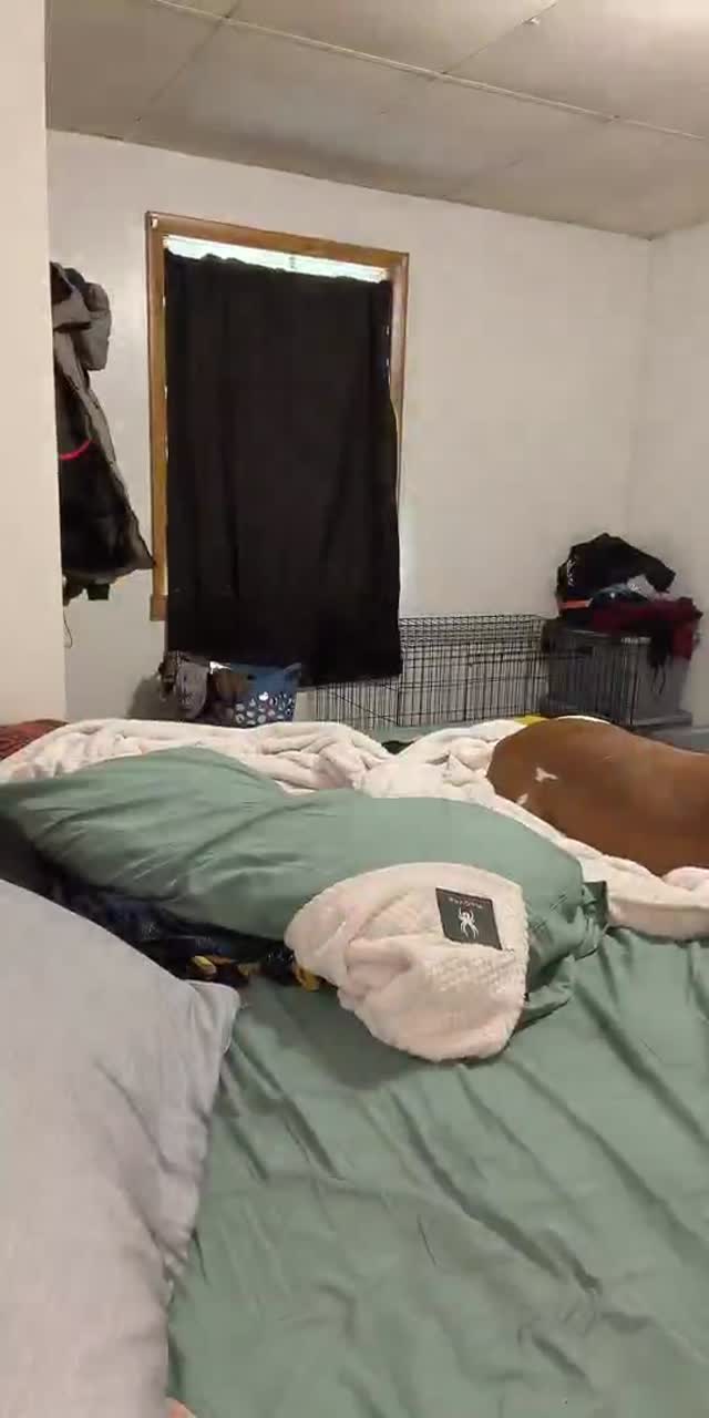 @towlie669 TikTok live recording
