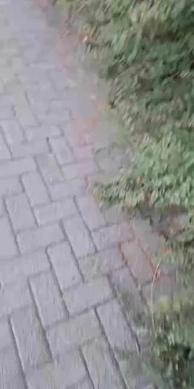 @00000_000072 TikTok live recording