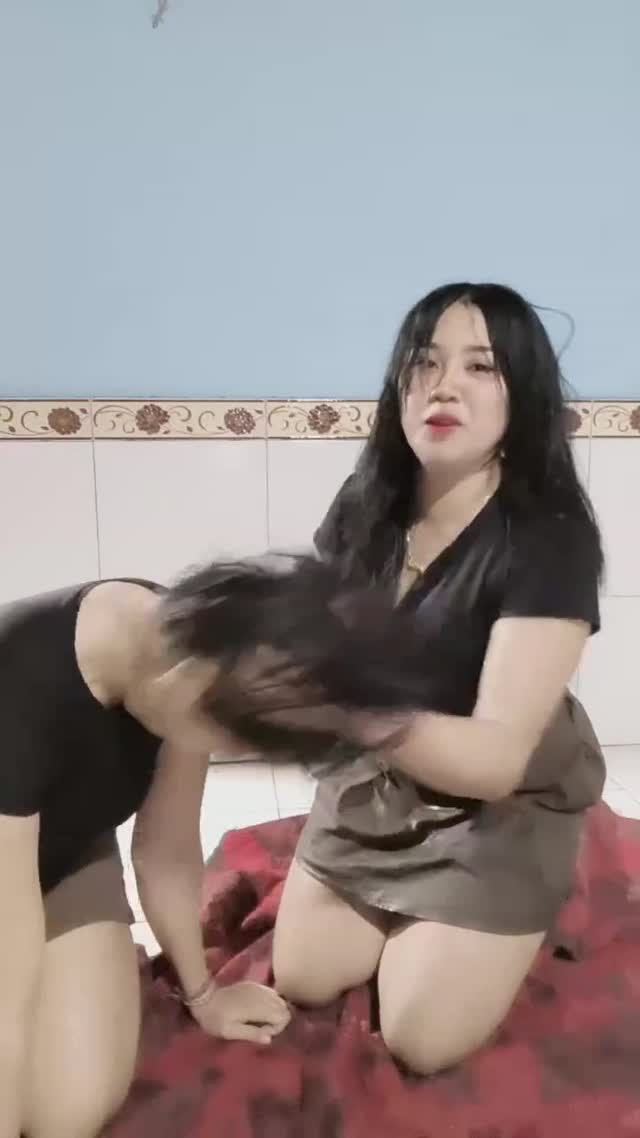 @lia186666
