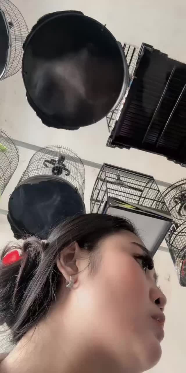 @haybeibs TikTok live recording