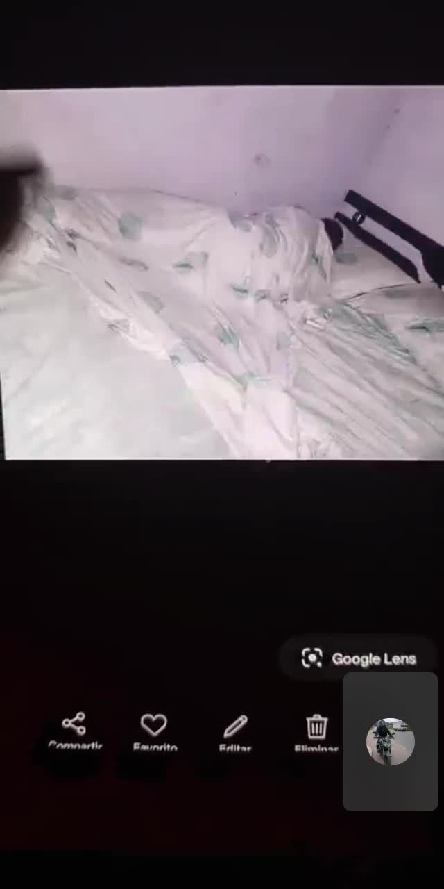 @zhaira3830 TikTok live recording