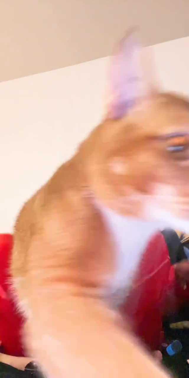 @x7.trusttnonee TikTok live recording