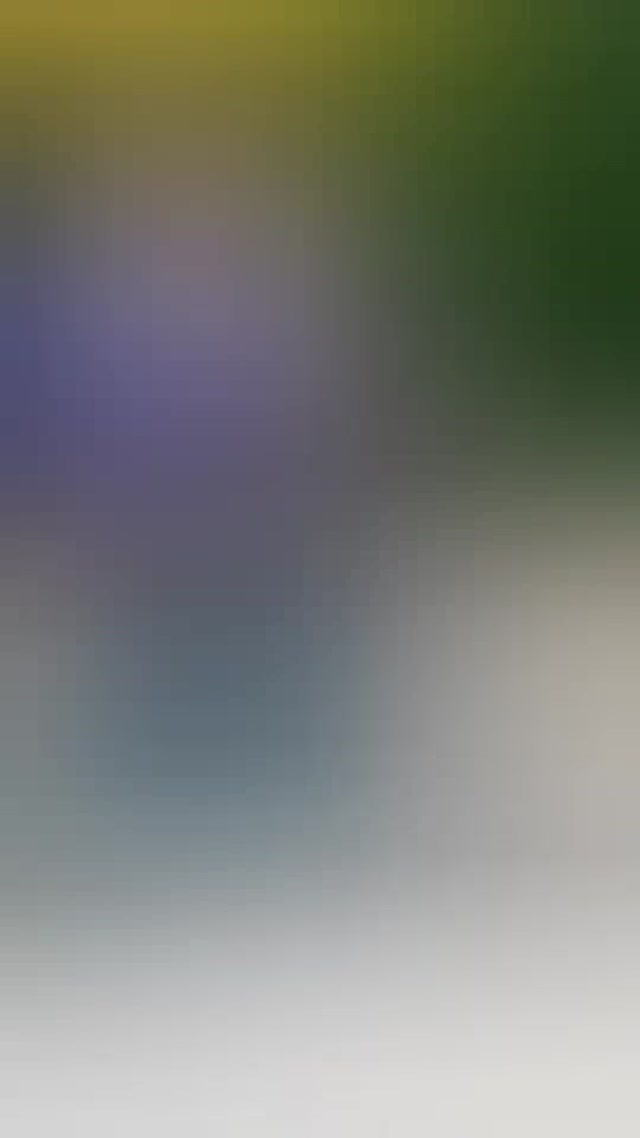 @len.preias TikTok live recording