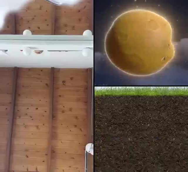 @tu.peor.error134 TikTok live recording