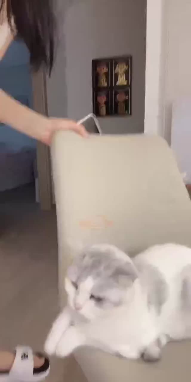 @sae.rok TikTok live recording