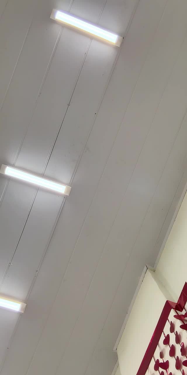 @carlosarevalo998 TikTok live recording