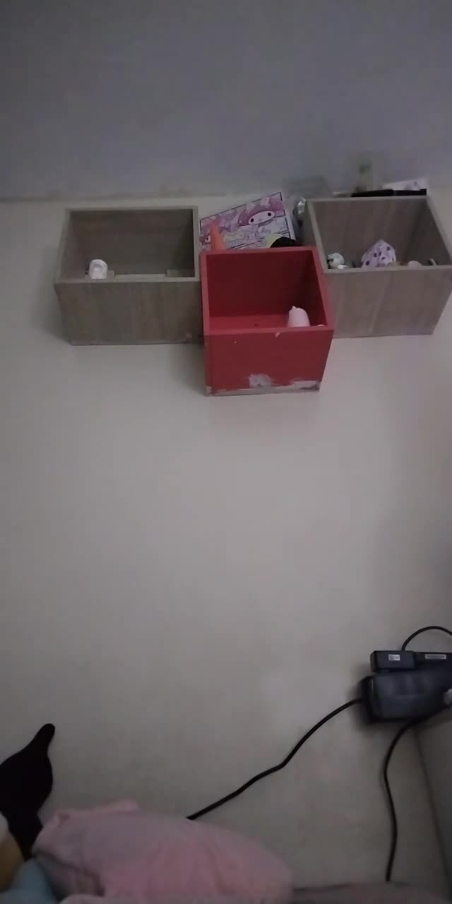 @nekita.kawaii6 TikTok live recording