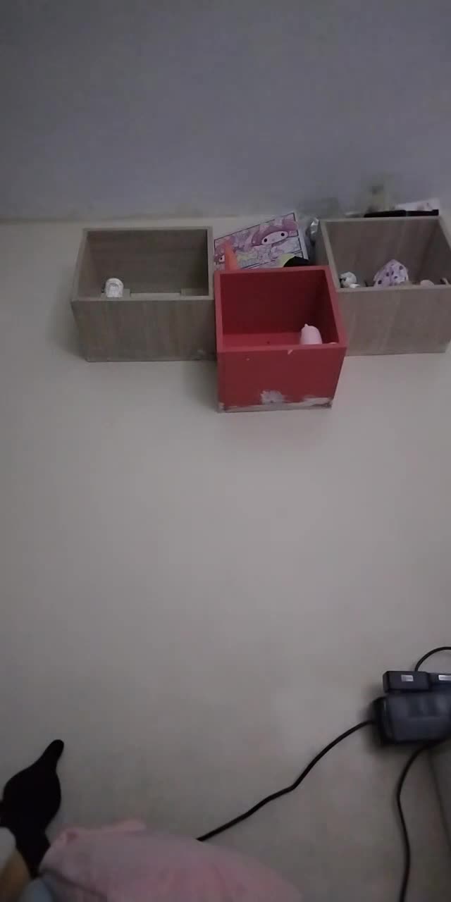 @nekita.kawaii6 TikTok live recording