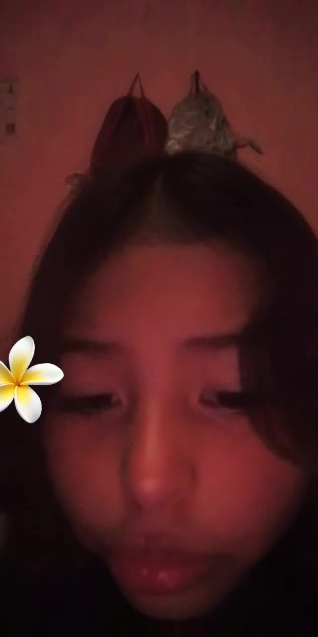 @estefania.jimnez183 TikTok live recording