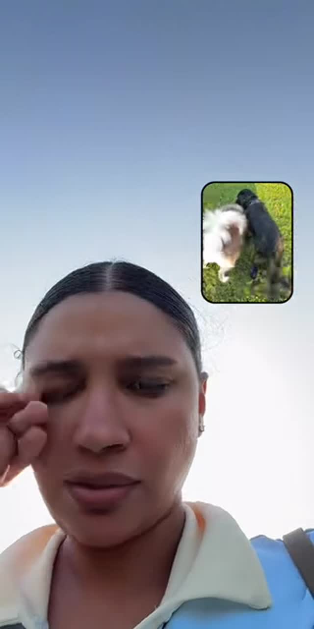 @sara.jghab TikTok live recording