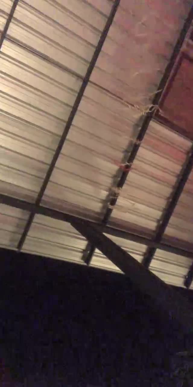 @gekmadee35 TikTok live recording