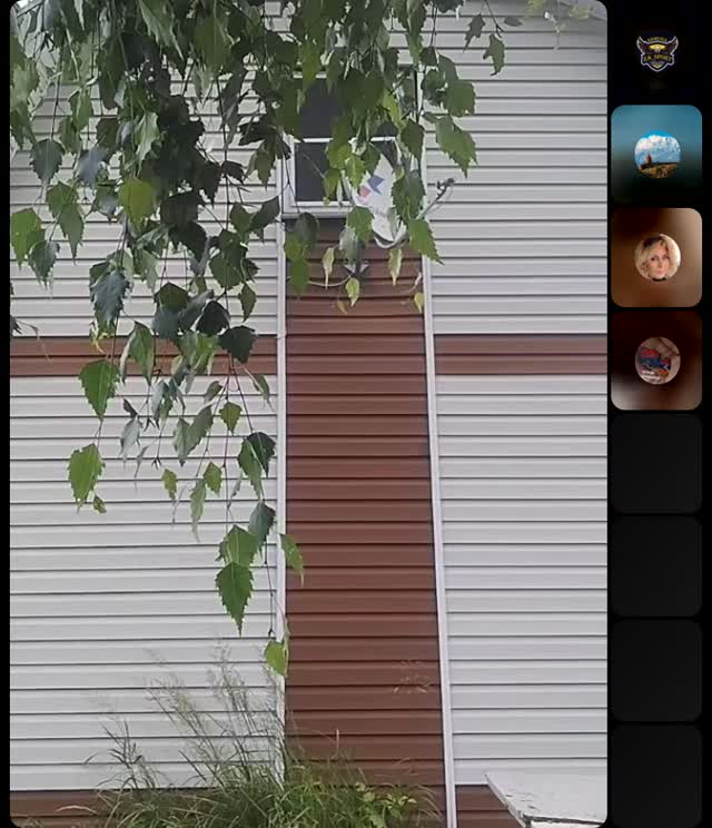 @georgi_0477 TikTok live recording