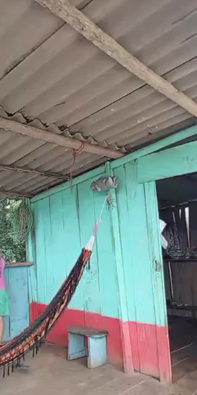 @gabriela.1234591 TikTok live recording