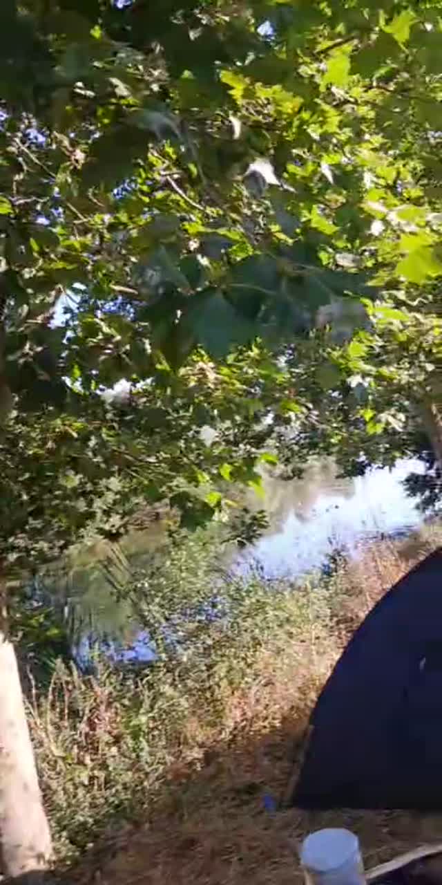 @clk.340 TikTok live recording