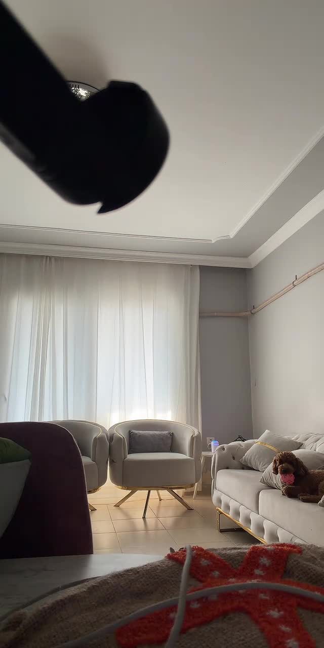 @kahvee68 TikTok live recording