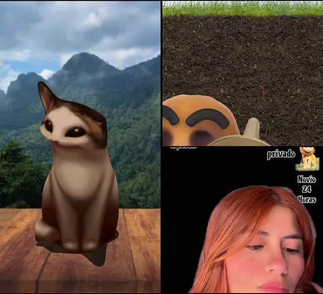 @toxicoeuropa TikTok live recording