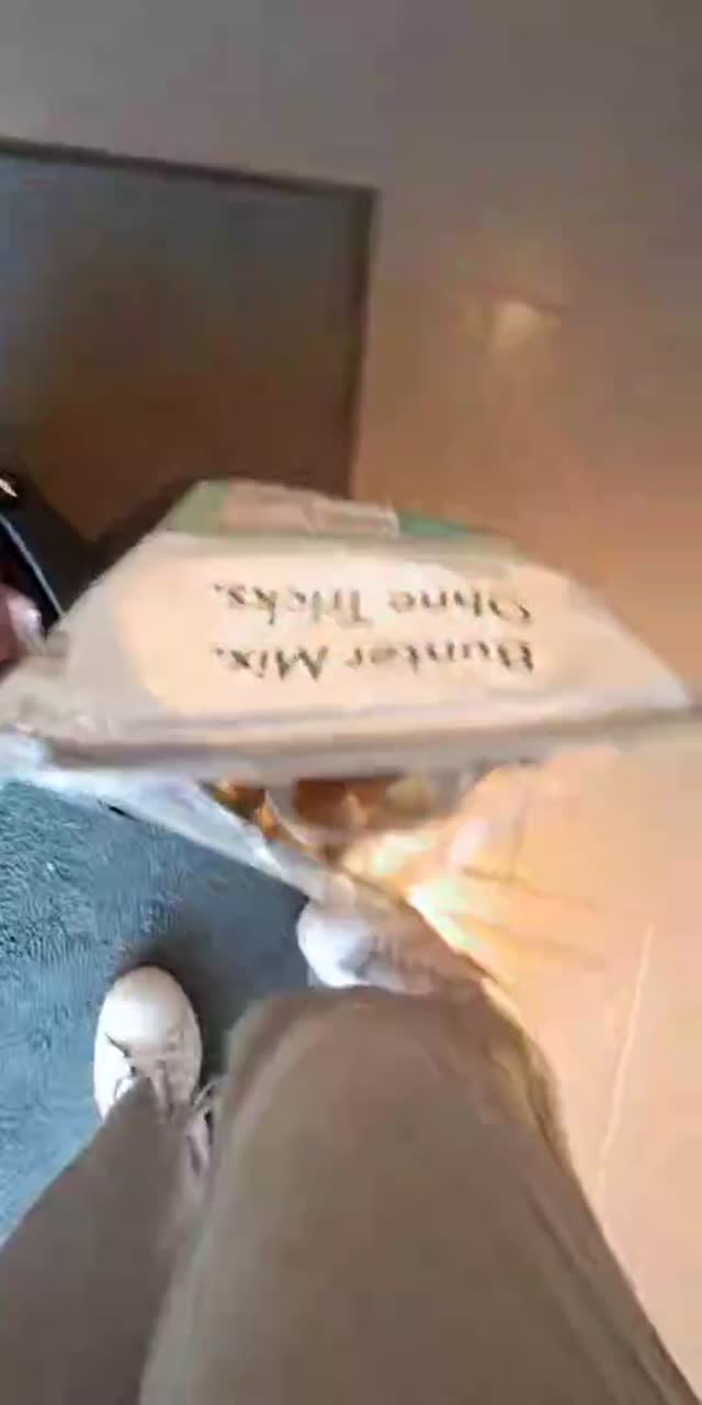 @00000_000072 TikTok live recording