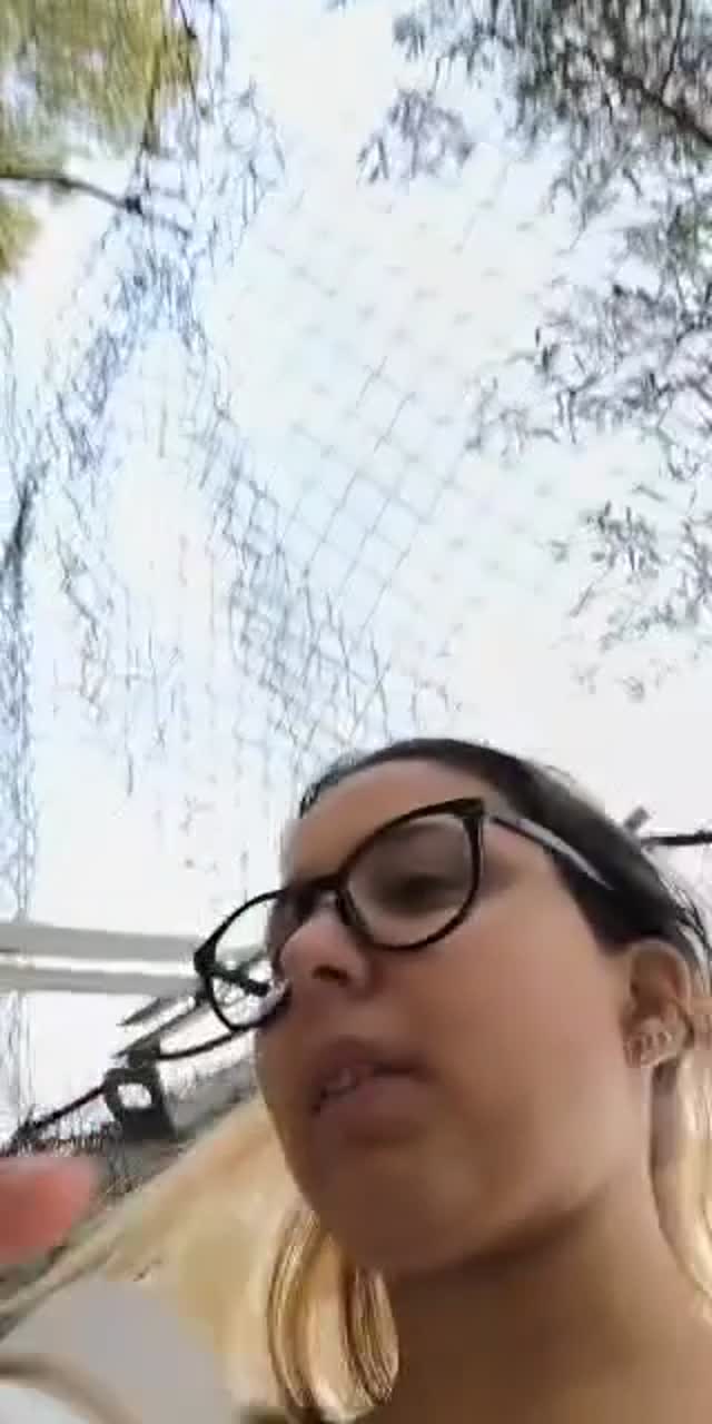 @ailime2005_ TikTok live recording